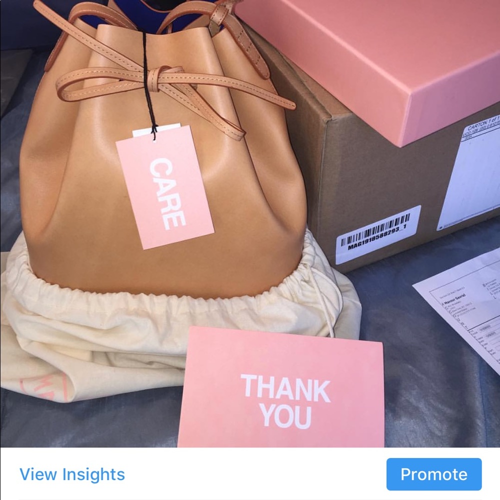 Brand New Manzur Gavriel Bucket bag
